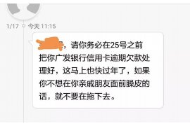 东城东城的要账公司在催收过程中的策略和技巧有哪些？